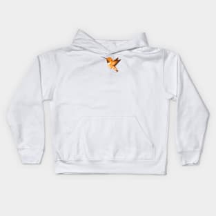 Rufous Hummingbird Kids Hoodie